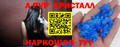 кокс Кингисепп