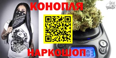 кокс Кингисепп