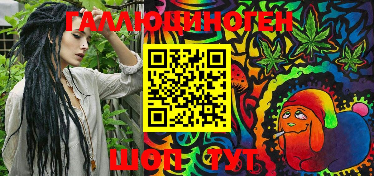 Псилоцибиновые грибы Psilocybine cubensis  Краснодар 